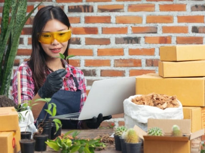 How to start an online plant business
