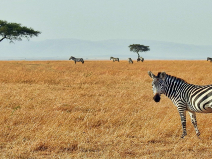 Tabora is a city in central Tanzania, located about 400 kilometres west of the country's capital, Dar es Salaam