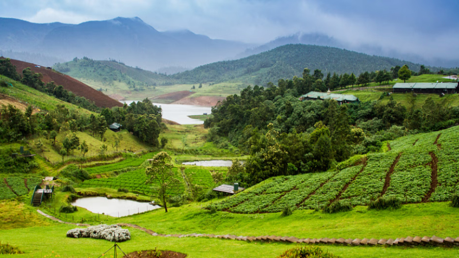 Best places to visit in Ooty for vacation in 2024