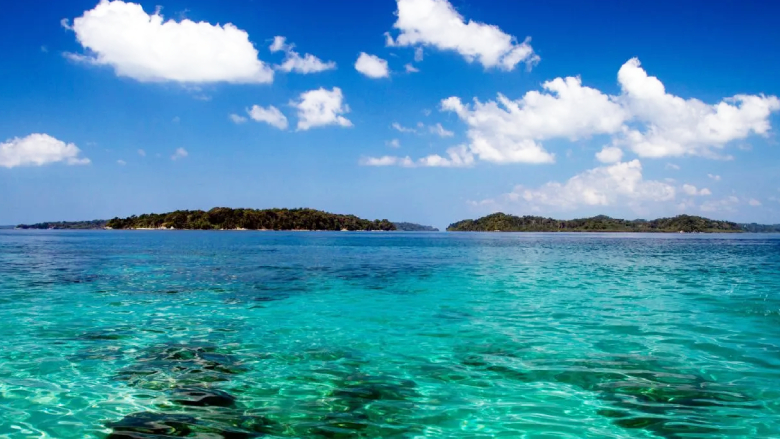 Watamu Marine National Park, located along Kenya's coast, is famous for its green turtle nesting sites on its gorgeous sandy beaches.